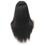 Straight HD Lace Closure Wig